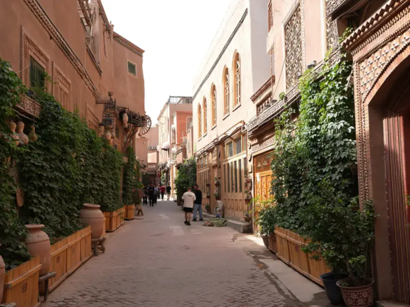 Narrow lane between brick houses with potted plants and carved doors
